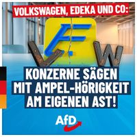 Quelle: AfD