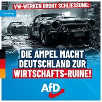 Quelle: Screenshot AfD Kompakt